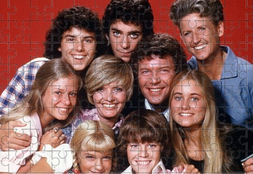 120pc Puzzle: Brady Bunch